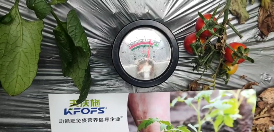 微生物菌劑，為什么被越來越多的人選擇？