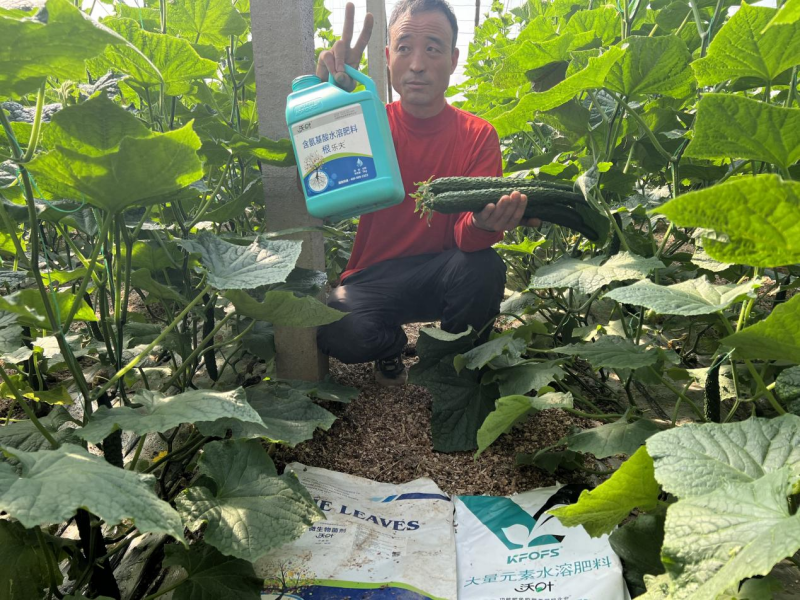 種植蔬菜用什么肥料最好？兩個解決，兩個方案