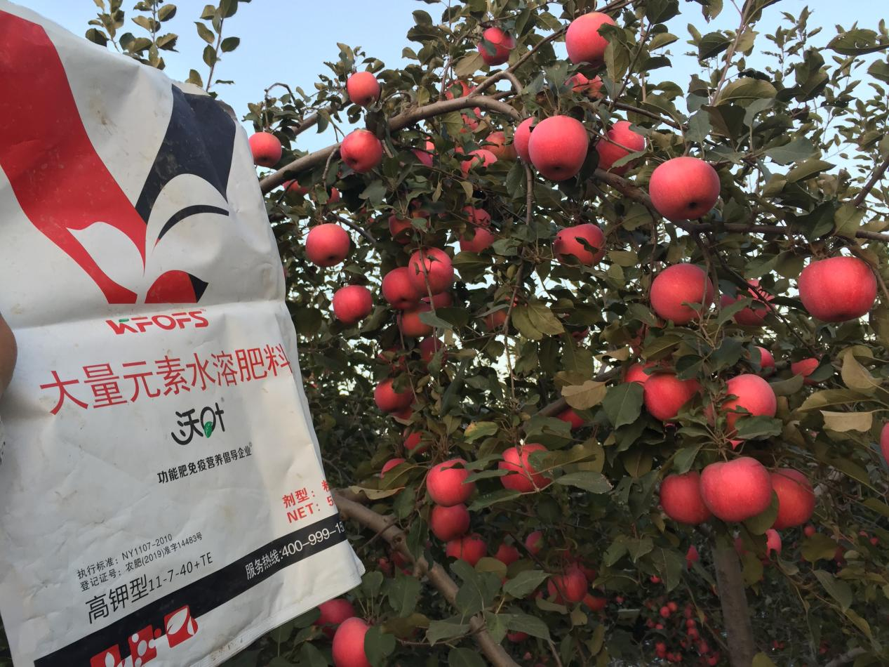 水溶肥哪家好？李大哥告訴你