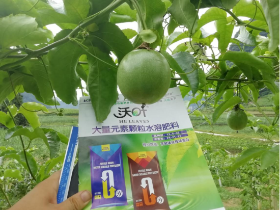 顆粒水溶肥品牌，跟著這樣選！