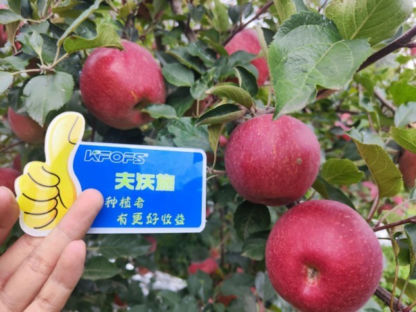 微生物菌劑，作物增產(chǎn)的“敲門磚”