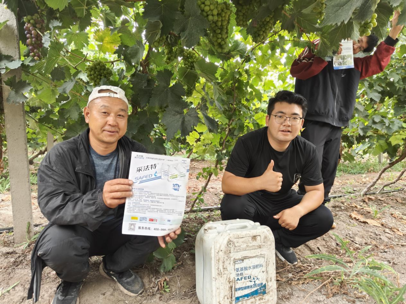 氨基酸肥料的作用你了解多少？