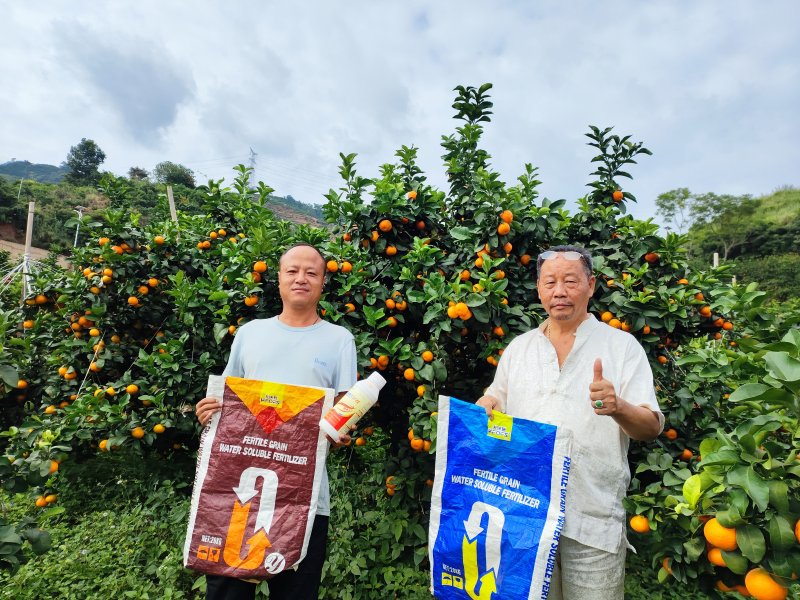 土壤板結(jié)到底能不能解決？