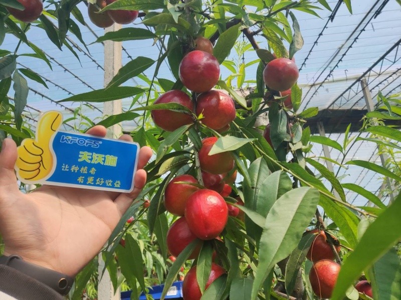 微生物菌劑的作用，你真的了解嗎？