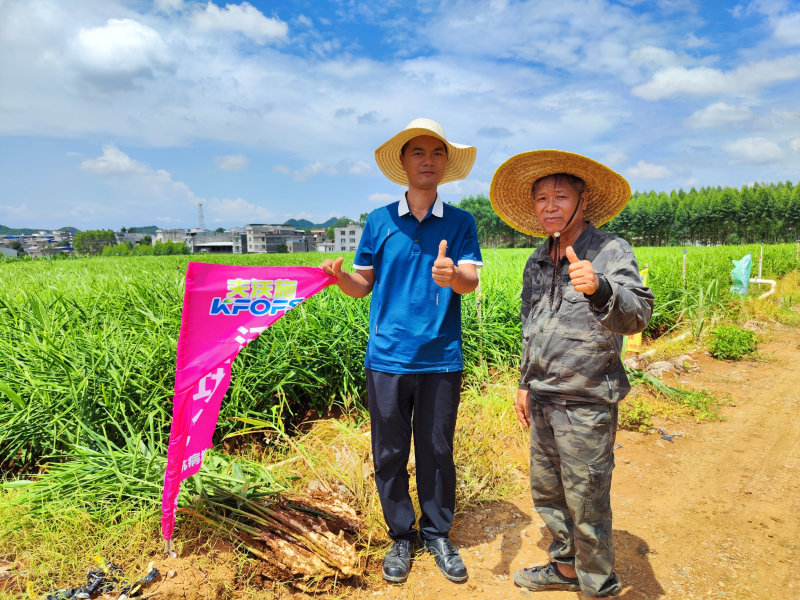 生根劑不能錯過的3個時期，你知道嗎？