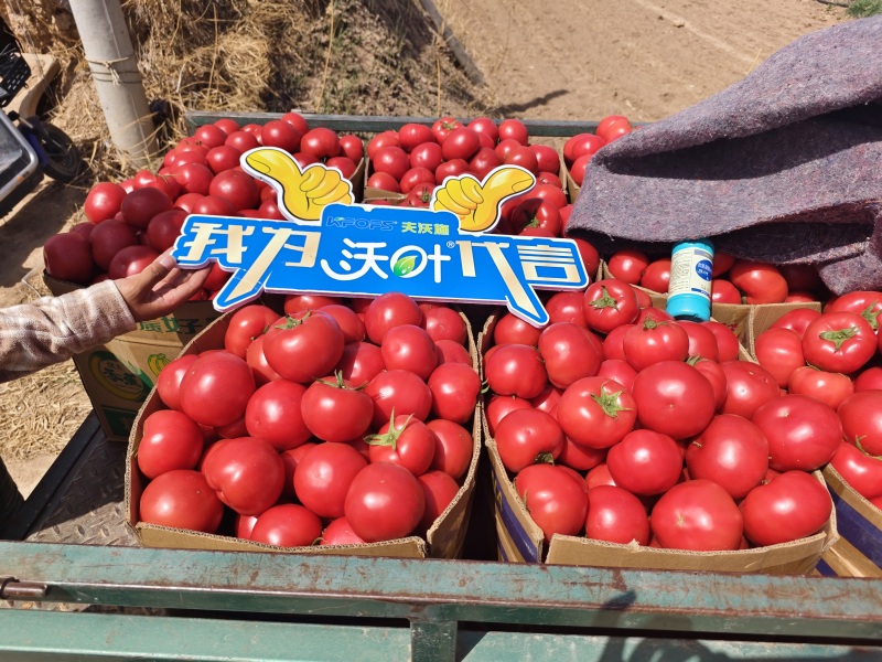 西紅柿施肥用什么肥料好？
