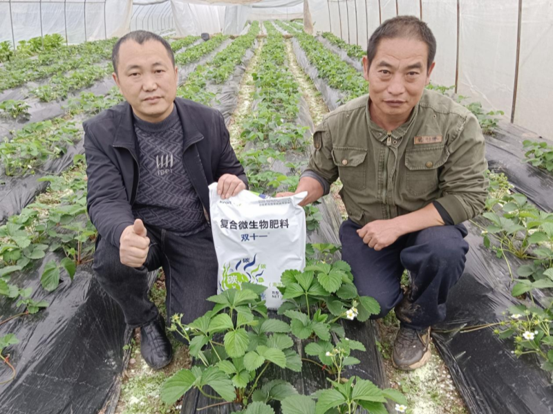 土壤板結(jié)的原因及解決辦法，總結(jié)6點
