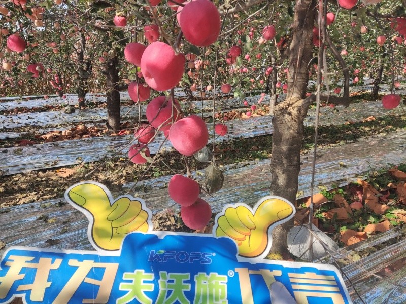 葉面肥你會(huì)用嗎？