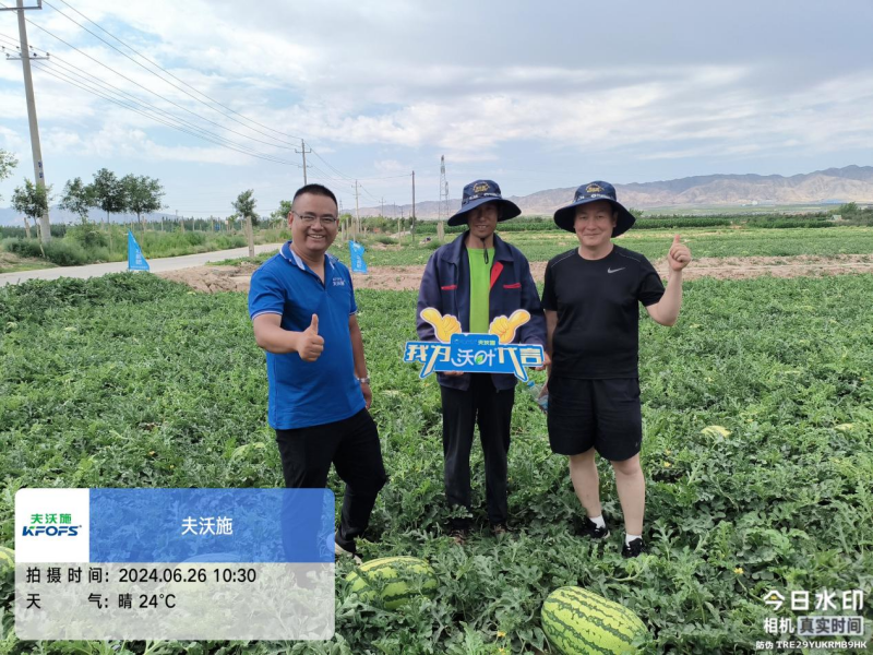 西瓜藥害怎么辦-夫沃施功能水溶肥.png