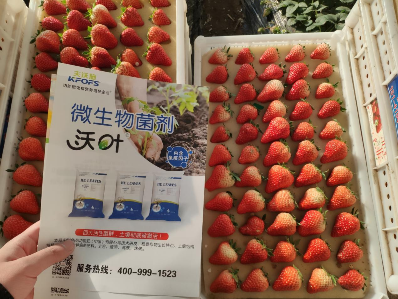改良土壤的管理科學方法