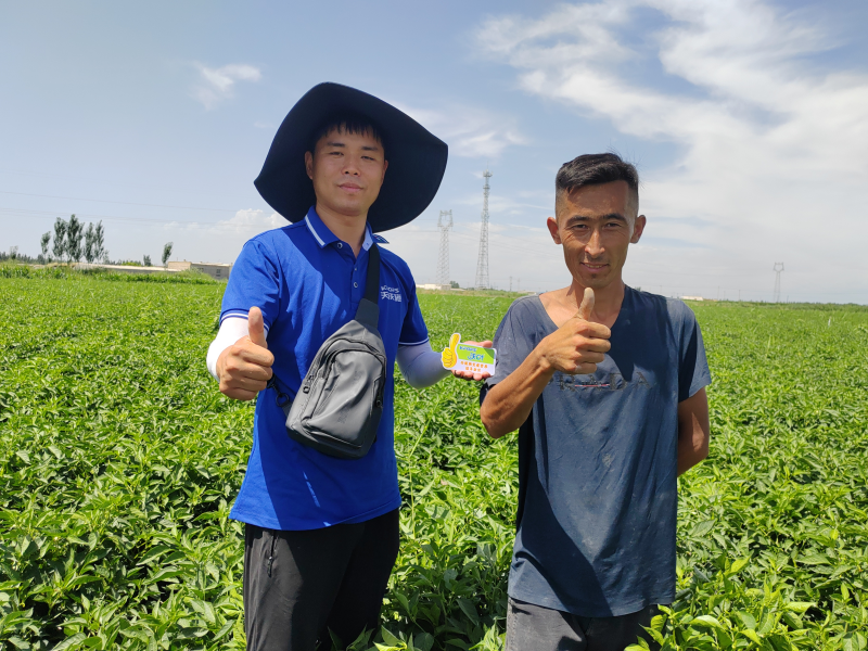 沖施肥的使用方法-沃葉用戶見證.png