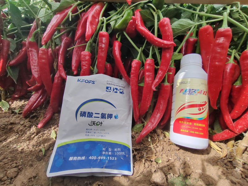 磷酸二氫鉀是葉面肥嗎？